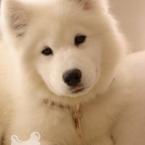 Vartotojas kristaliuke17