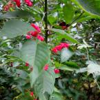 Vartotojas loretux71