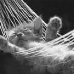 Vartotojas doviliute