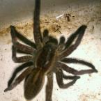 Vartotojas narimka27