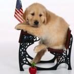 Vartotojas Gintare435