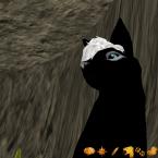 Vartotojas evelina237