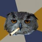 Vartotojas kempinuke