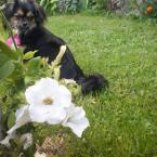 Vartotojas sandrute_