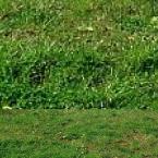 Vartotojas KristupasM