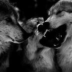 Vartotojas julija1996