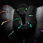 Vartotojas kickboxing777