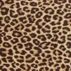 Vartotojas paulinapaulina