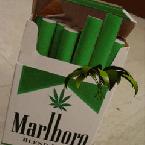 Vartotojas MindaugasVaiciunas