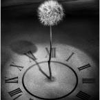 Vartotojas saulesuztemimas