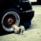 Vartotojas Arturasvan