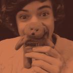 Vartotojas directioner