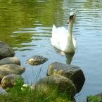 Vartotojas vaineta15