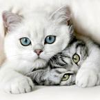 Vartotojas Laura1227