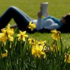 Vartotojas borjomi79