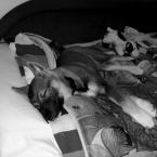 Vartotojas SUGARGRETA