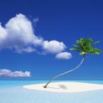 Vartotojas svedbank.lt