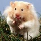 Vartotojas Rolandas12