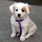 Vartotojas Mantas159