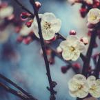 Vartotojas egllllle95