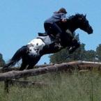 Vartotojas svajoklė