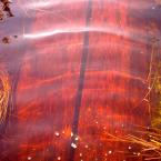 Vartotojas garazodaiktai