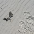 Vartotojas surumburum