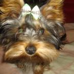 Vartotojas andriuslt