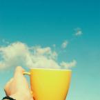 Vartotojas successus