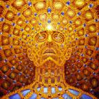 Vartotojas emptiness