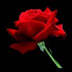 Vartotojas DaiktaiLT