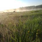 Vartotojas dalia.rep