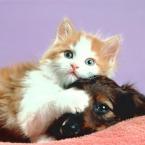 Vartotojas agne12sta