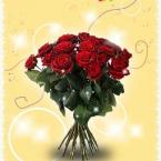 Vartotojas elivodamis