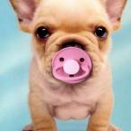 Vartotojas ievute123