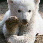 Vartotojas edgaras ir ausra