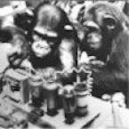 Vartotojas magaizeris