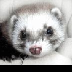 Vartotojas andriuxxa