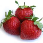 Vartotojas brashke007