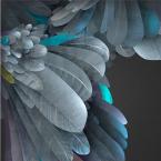 Vartotojas mountains