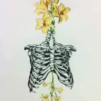 Vartotojas pūkuotas