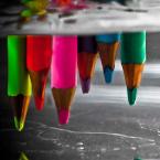 Vartotojas evuciukas