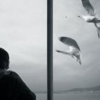 Vartotojas patriziukas