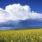 Vartotojas Tomasiukas15