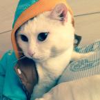 Vartotojas Chanel_chanel