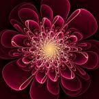 Vartotojas boruze001