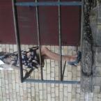 Vartotojas ramunekaviauskaite19@gmail.com