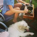 Vartotojas Monika Si